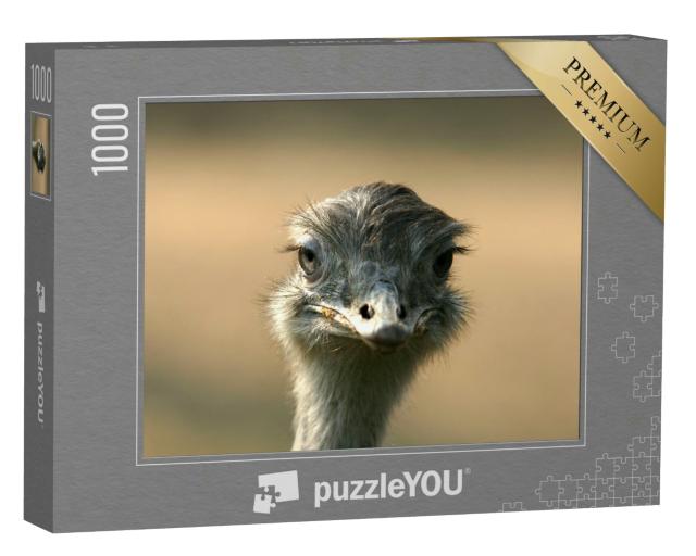 Puzzle 1000 Teile „Porträt vom Straußenkopf, Blick in die Kamera“