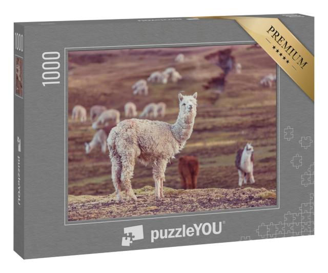 Puzzle 1000 Teile „Peruanisches Alpaka, Anden“