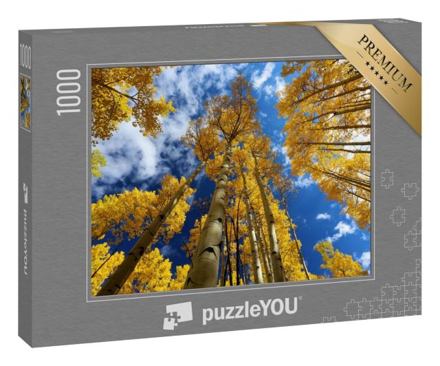 Puzzle 1000 Teile „Herbst Baldachin von leuchtend gelben Aspen: Rocky Mountains, Colorado“