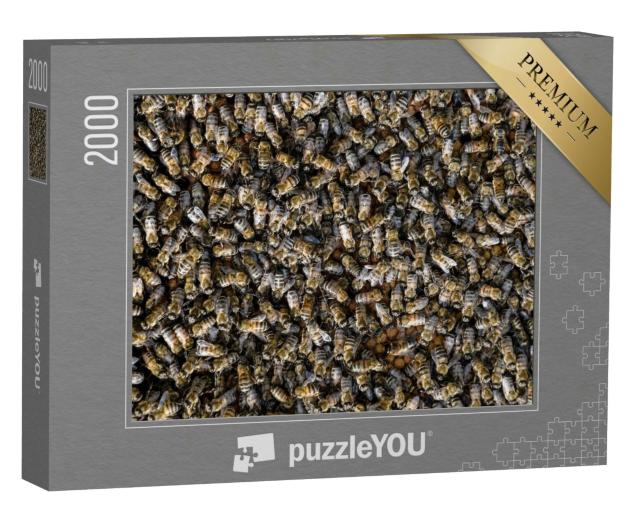 Puzzle 2000 Teile „Ein Schwarm Honigbienen“