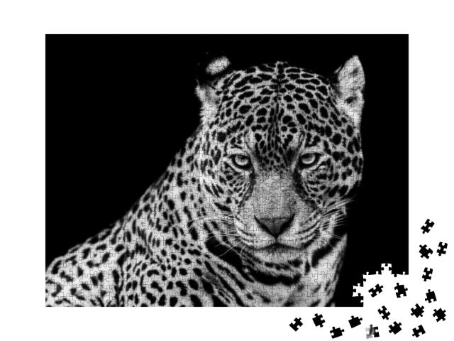 Puzzle 1000 Teile „Jaguar vor einem schwarzen Hintergrund“