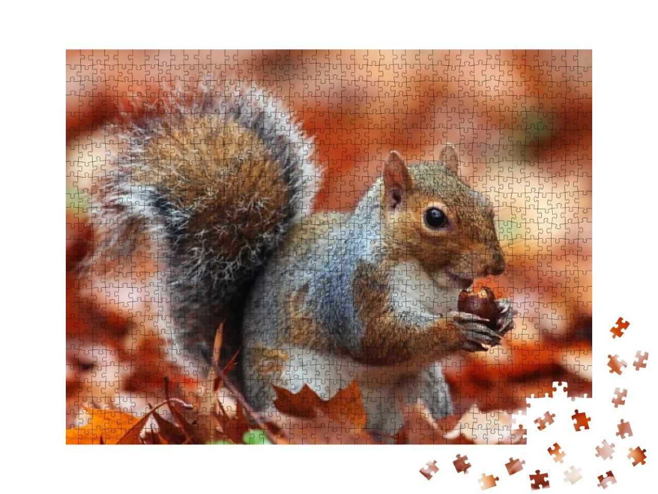 Puzzle 1000 Teile „Eichhörnchen, Herbst mit Eichel“