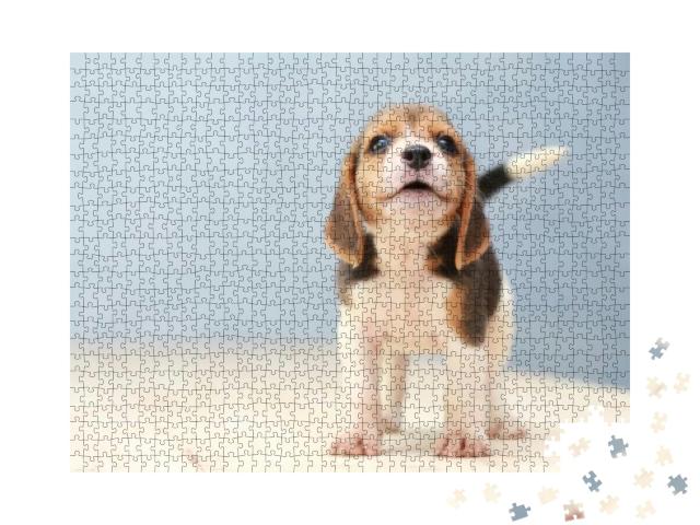 Puzzle 1000 Teile „Kleiner niedlicher Beagle-Welpe, Hund schaut auf“