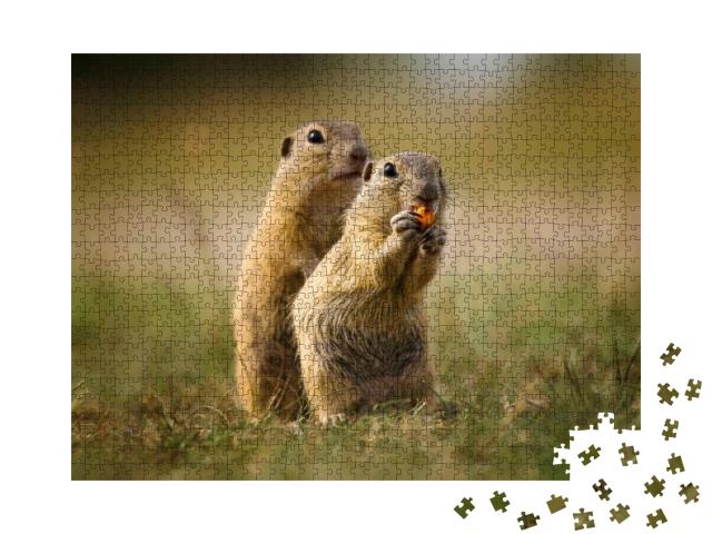 Puzzle 1000 Teile „Naturaufnahme: niedliche Erdhörnchen“