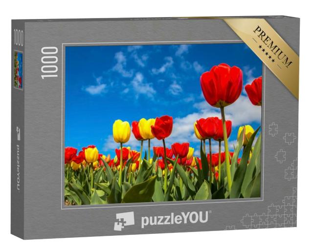Puzzle 1000 Teile „Bunte Tulpenfelder: Frühling mit blauem Himmel“