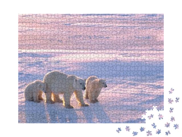 Puzzle 1000 Teile „Eisbär mit Jungtieren in der kanadischen Arktis“
