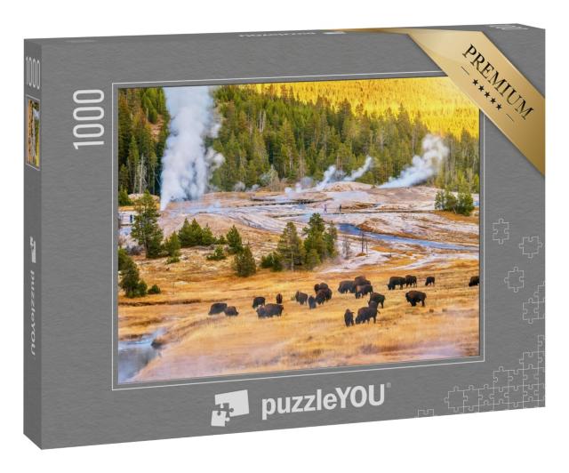 Puzzle 1000 Teile „Bisonherde bei Sonnenuntergang im Upper Geyser Basin im Yellowstone-Nationalpark“