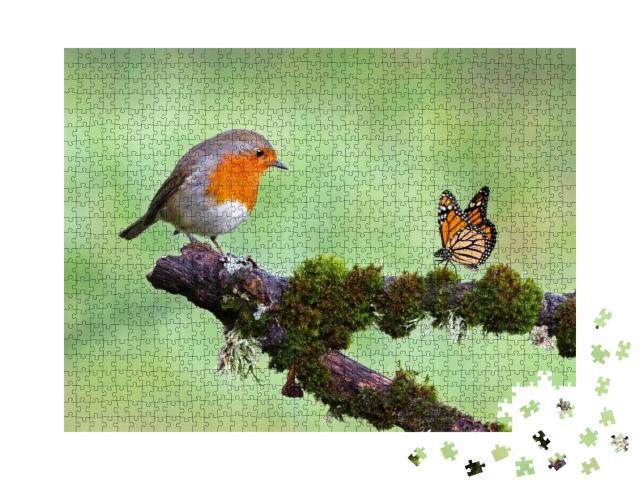 Puzzle 1000 Teile „Rotkehlchen und Schmetterling“