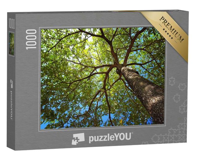 Puzzle 1000 Teile „Foto bis zur Baumkrone von unten aufgenommen“