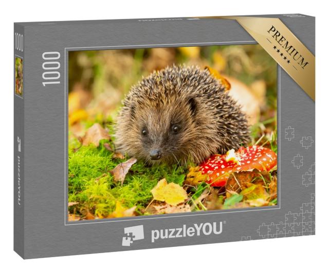 Puzzle 1000 Teile „Igel und Fliegenpilz“