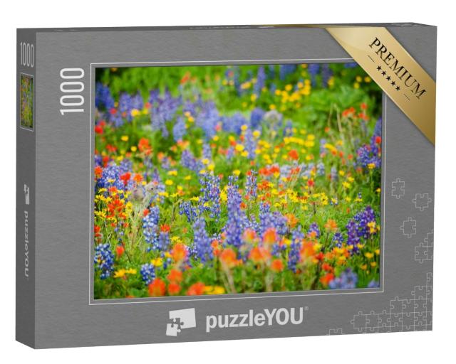 Puzzle 1000 Teile „Wildblumen in voller Pracht: Lupine, Indian Paintbrush und Yellow Asters“