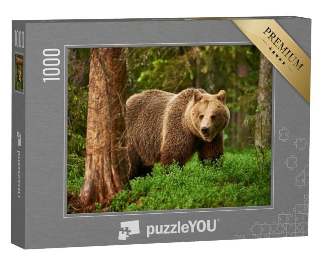 Puzzle 1000 Teile „Braunbär frei in der finnischen Taiga“