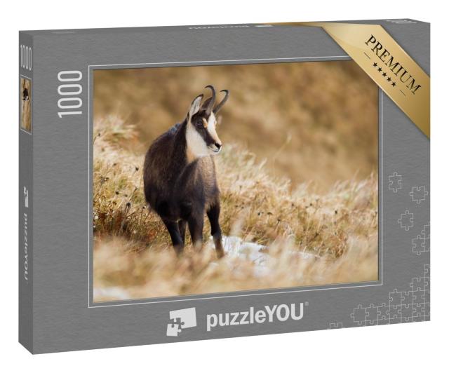 Puzzle 1000 Teile „Tatra-Gämse auf einer Bergwiese“