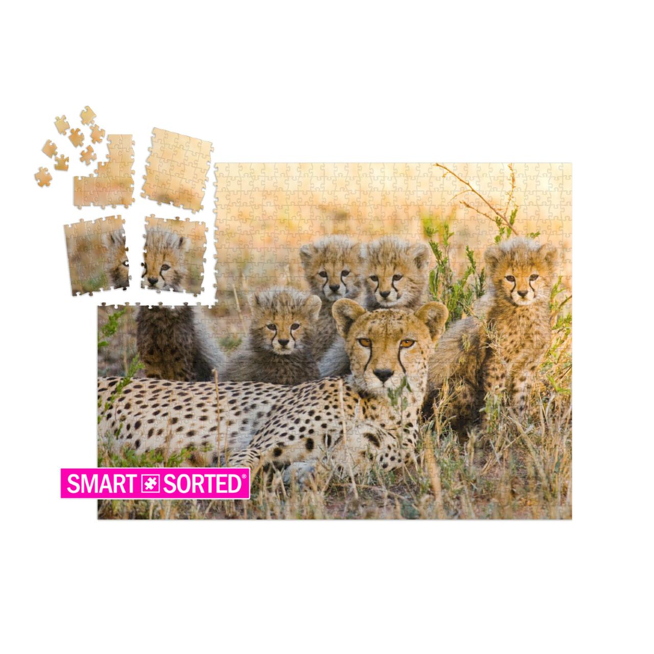 SMART SORTED® | Puzzle 1000 Teile „Gepardenmutter und ihre Jungtiere in der Savanne, Kenia“