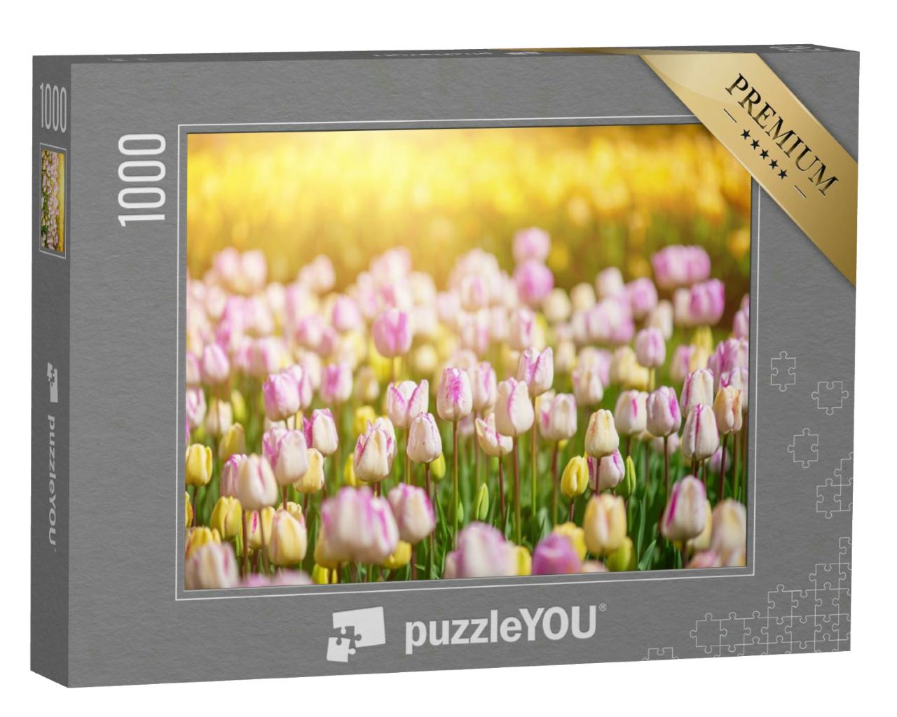 Puzzle 1000 Teile „Frühlingswiese mit vielen violetten und gelben Tulpenblüten“
