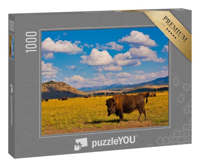 Puzzle 1000 Teile „Freiheit für Bisons im Yellowstone-Nationalpark, USA“