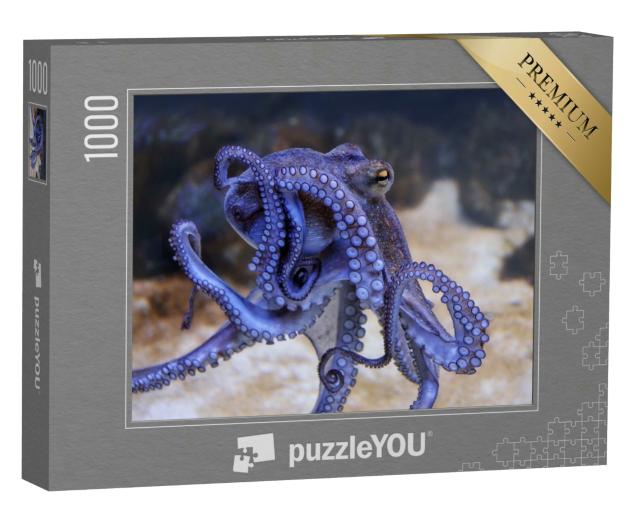 Puzzle 1000 Teile „Blauer Oktopus in einem Aquarium, Saugnäpfe, Nahaufnahme“