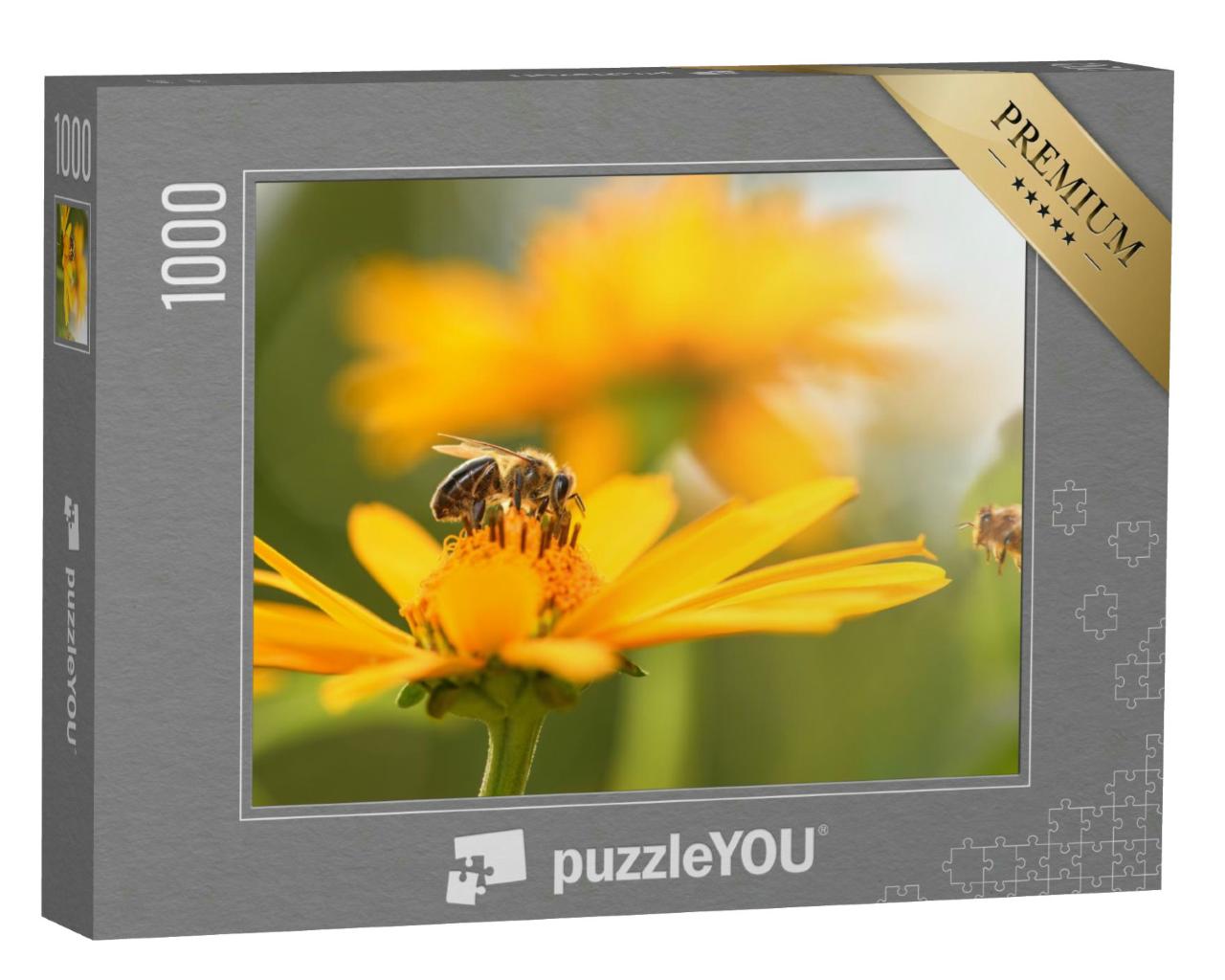 Puzzle 1000 Teile „Nahaufnahme: Biene und Blume“