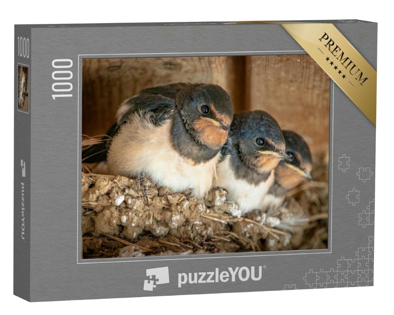Puzzle 1000 Teile „Niedliche Schwalbenküken, dicht gedrängt in ihrem Nest“