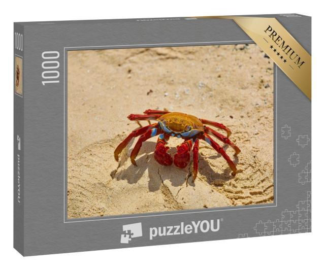 Puzzle 1000 Teile „Sally Lightfoot Krabbe auf gelbem Sand, Galapagosinseln, Ecuador“