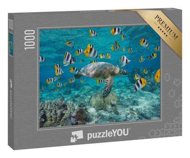 Puzzle 1000 Teile „Meeresschildkröte mit einem Schwarm tropischer Fische, Polynesien“
