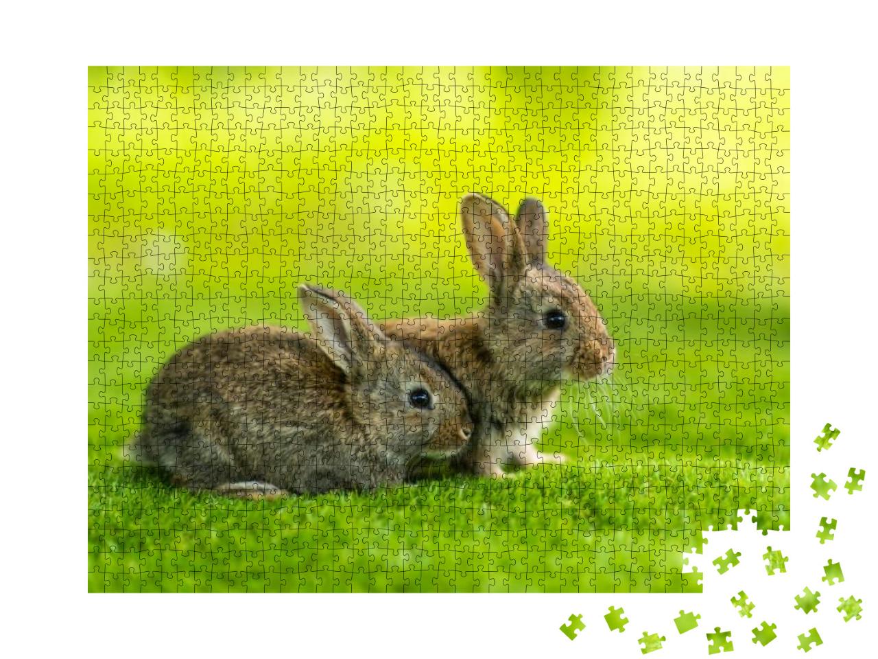 Puzzle 1000 Teile „Zwei kleine Kaninchen auf der grünen Wiese“