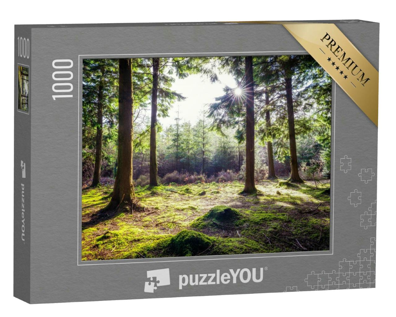 Puzzle 1000 Teile „Idyllischer Wald in Ladock, Cornwall, England, Großbritannien“