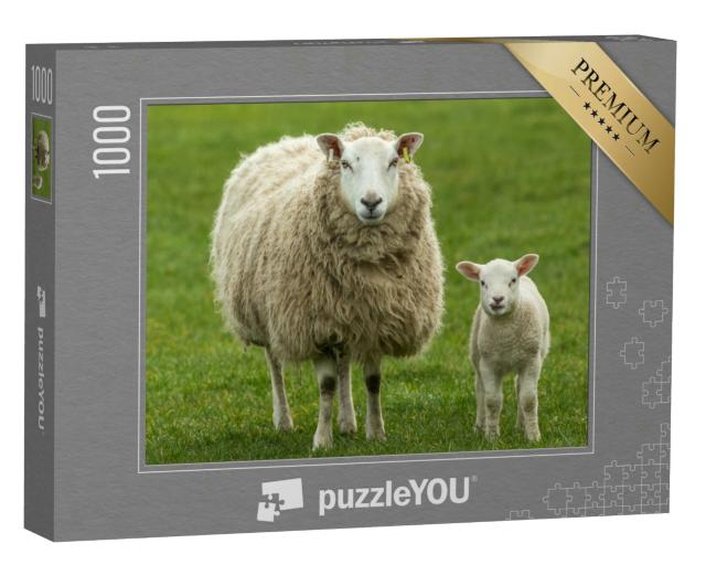 Puzzle 1000 Teile „Mutterschaf mit ihrem jungen Lamm, beide mit dem Gesicht nach vorne“