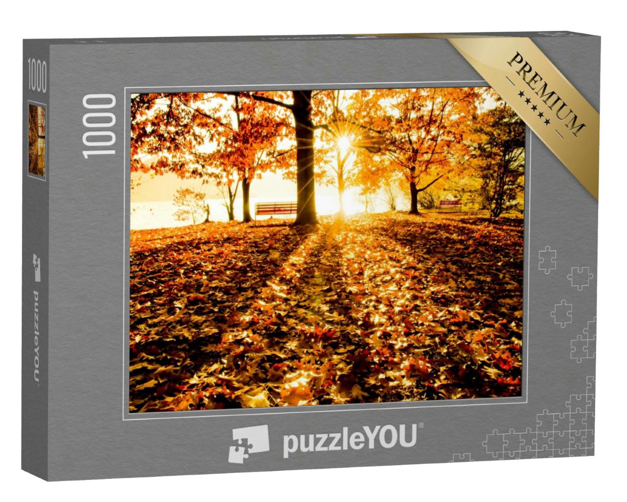 Puzzle 1000 Teile „Ascona, Schweiz: Herbstbäume und Bank am Wasser in der Abendsonne“