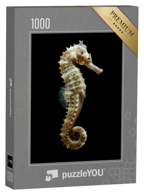 Puzzle 1000 Teile „Makrofotografie: Ein Seepferdchen“
