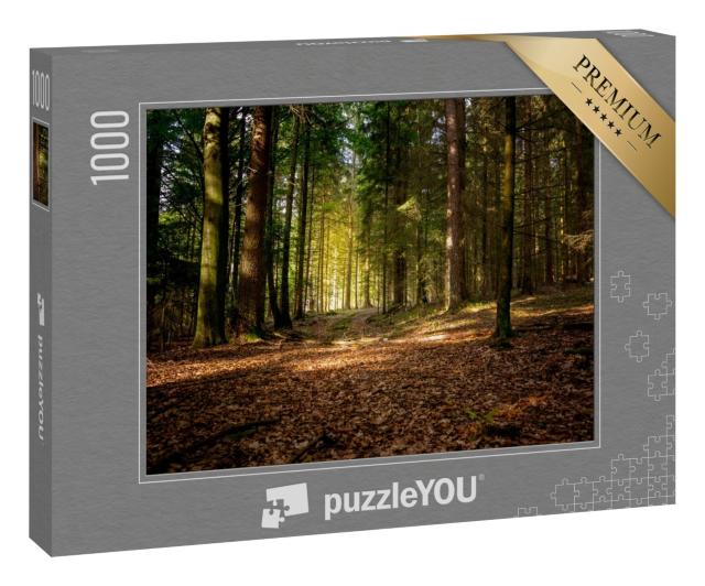 Puzzle 1000 Teile „Herbstsonne im bayerischen Wald, Deutschland“