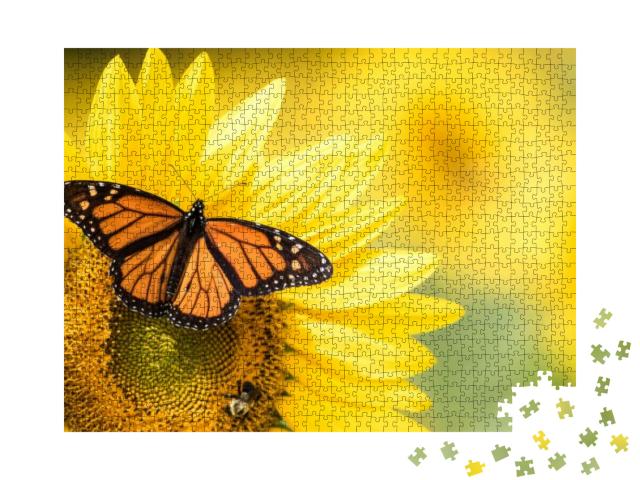 Puzzle 1000 Teile „Monarchfalter, Danaus Plexippus, auf einer Sonnenblume“