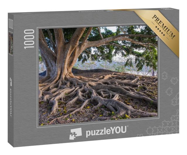 Puzzle 1000 Teile „Große Baumwurzel“