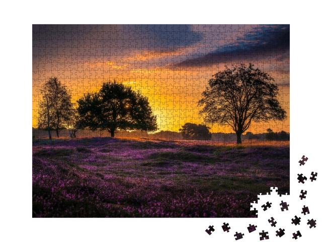 Puzzle 1000 Teile „Sunset over the flower meadow. Sundown on meadow f“