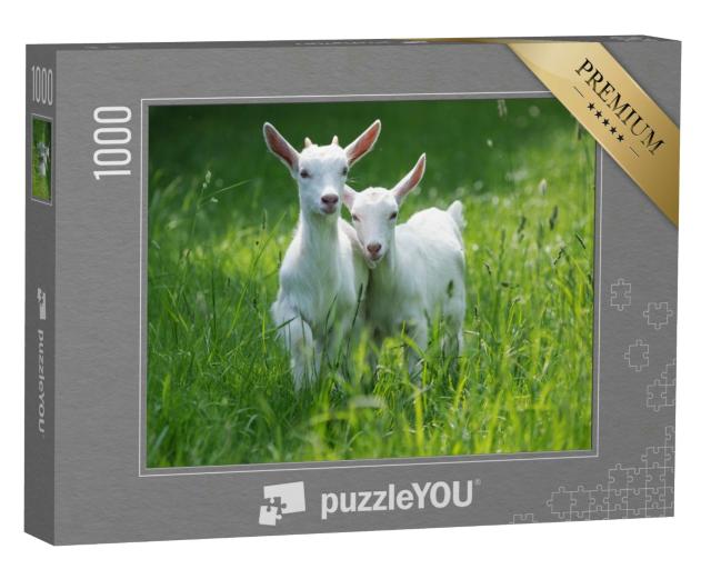 Puzzle 1000 Teile „Zwei Ziegenbabys stehen im hohen Sommergras“