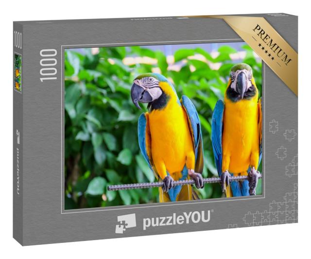 Puzzle 1000 Teile „Langschwanz-Ara Papagei mit bunten Federn“