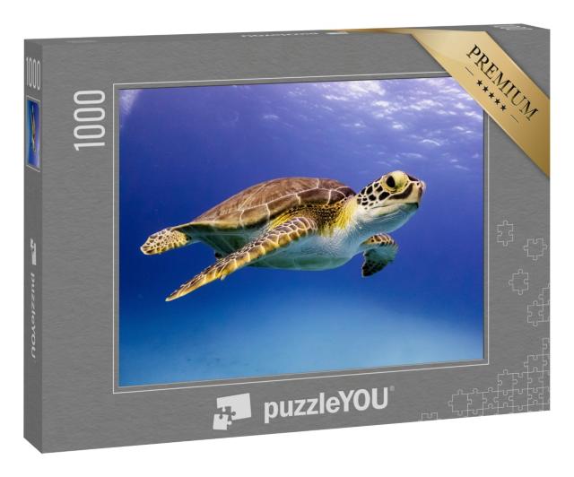 Puzzle 1000 Teile „Junge Hawksbill-Schildkröte beim Schwimmen, Bahamas“