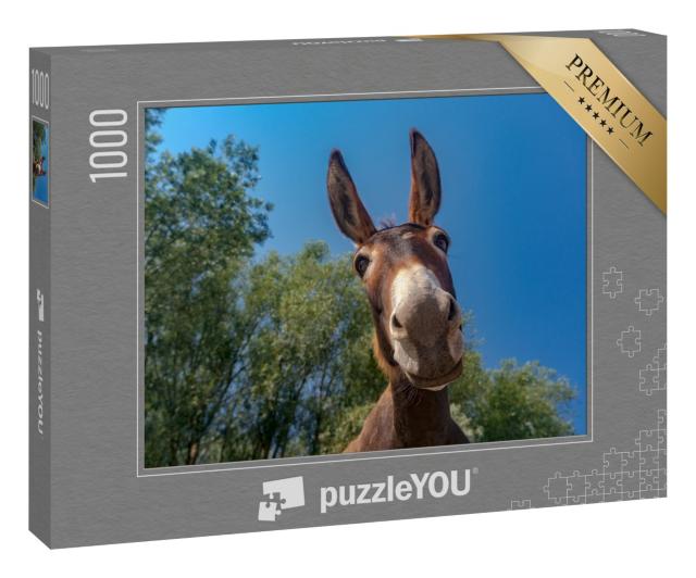 Puzzle 1000 Teile „Nahaufnahme eines Eselkopfes“