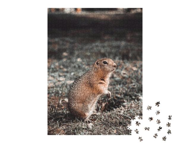 Puzzle 1000 Teile „Waldtier: Taschenratte frisst in ihrem Loch auf einer Lichtung, Herbst“