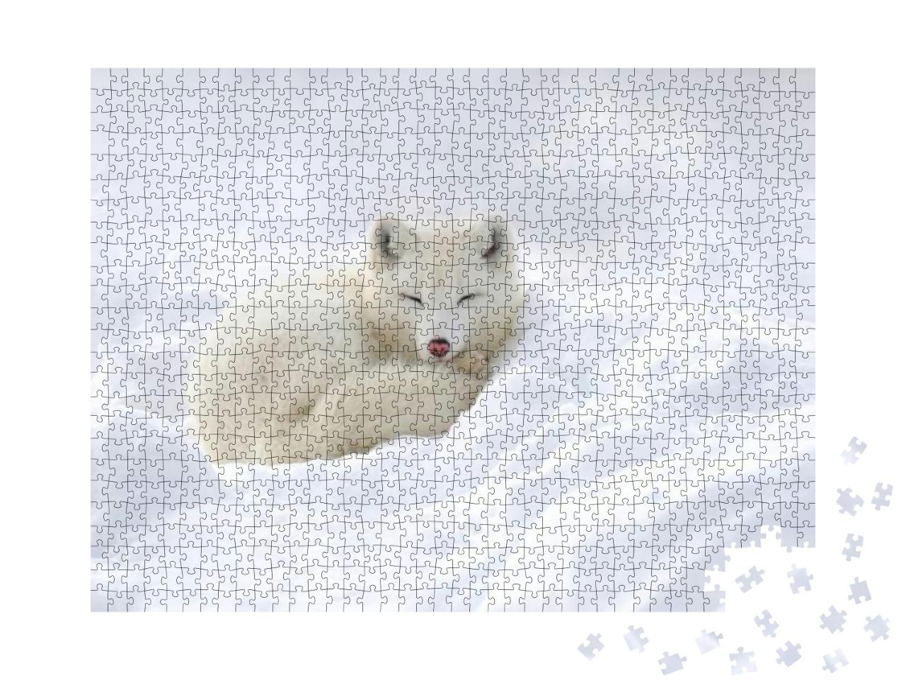 Puzzle 1000 Teile „Im Schnee eingekuschelter Polarfuchs“