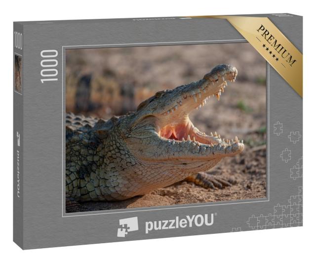 Puzzle 1000 Teile „Ein Nilkrokodil, gesehen auf einer Safari in Südafrika“
