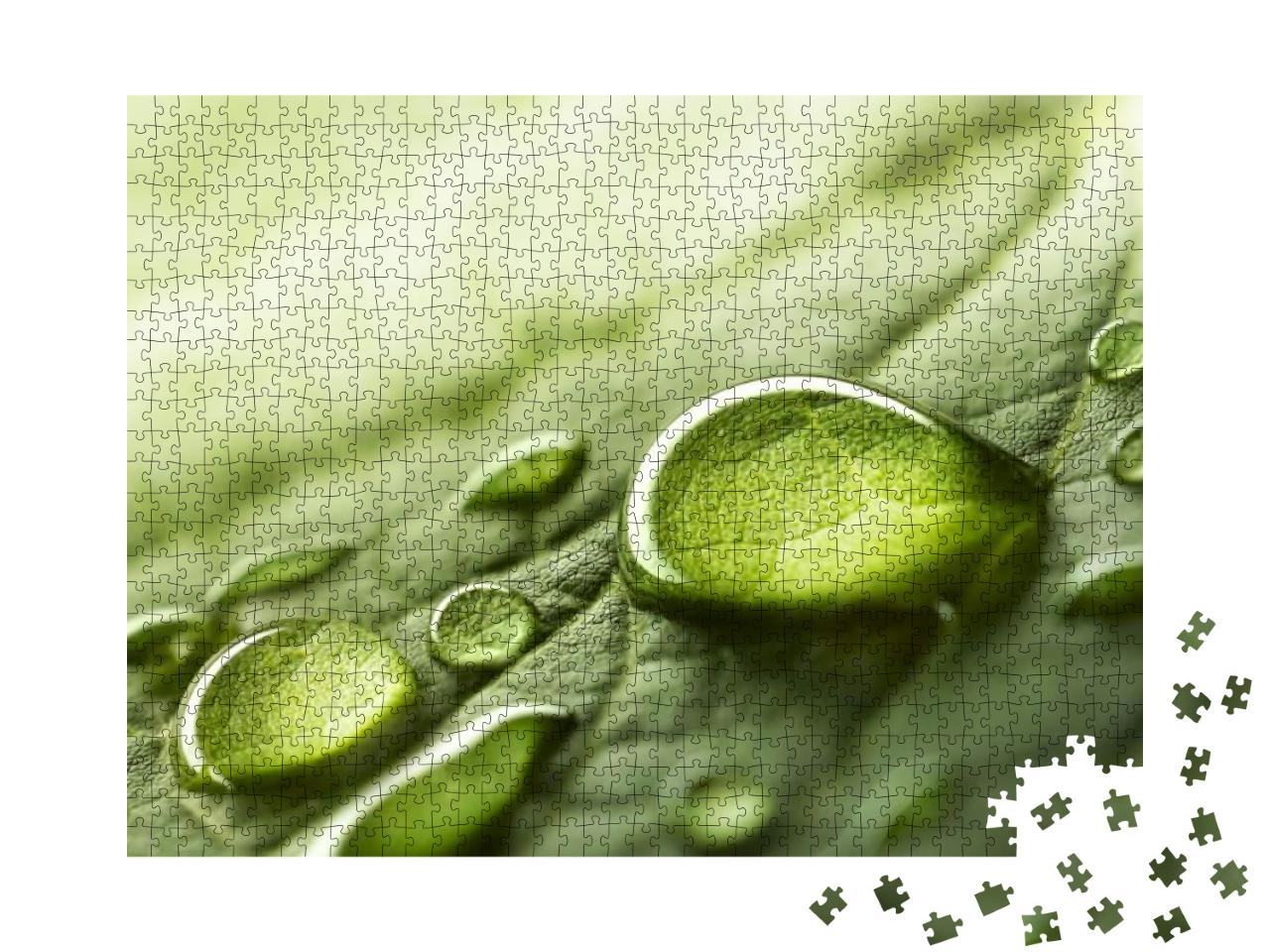 Puzzle 1000 Teile „Makroaufnahme: große Tropfen von transparentem Regenwasser auf einem grünen Blatt“