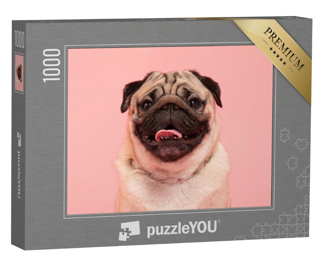 Puzzle 1000 Teile „Lachender Mops auf rosa Hintergrund“