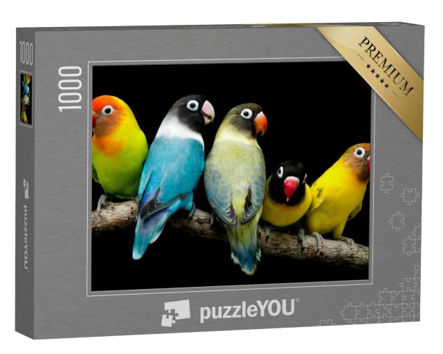 Puzzle 1000 Teile „Lovebird: Papagei mit prächtigen Farben“