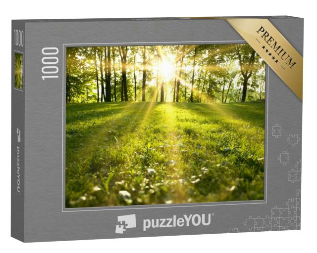 Puzzle 1000 Teile „Sonnenlicht im grünen Wald“