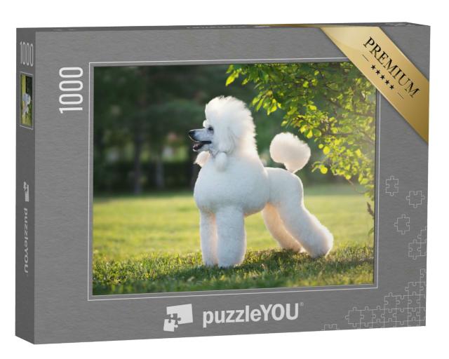 Puzzle 1000 Teile „Porträt des weißen Königspudels“