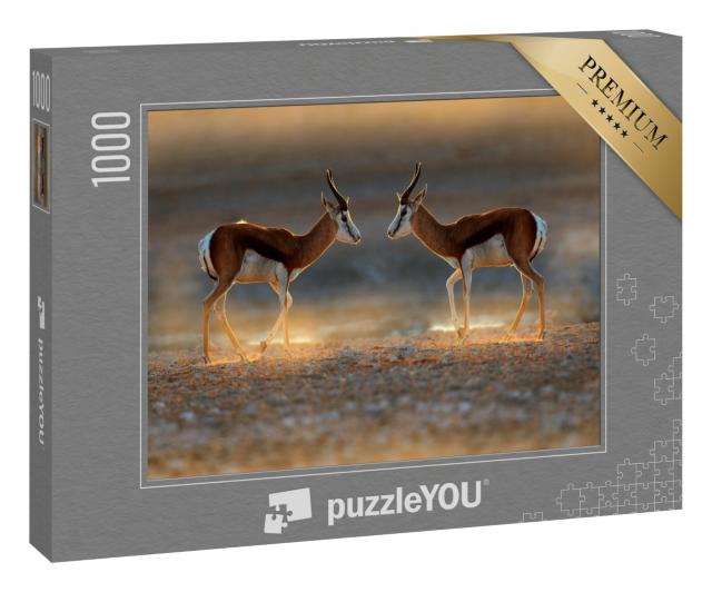 Puzzle 1000 Teile „Springbockantilope bei Sonnenuntergang auf Safari, Namibia“