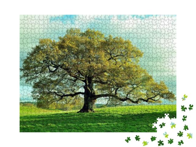 Puzzle 1000 Teile „Alte Eiche auf einer englischen Wiese“