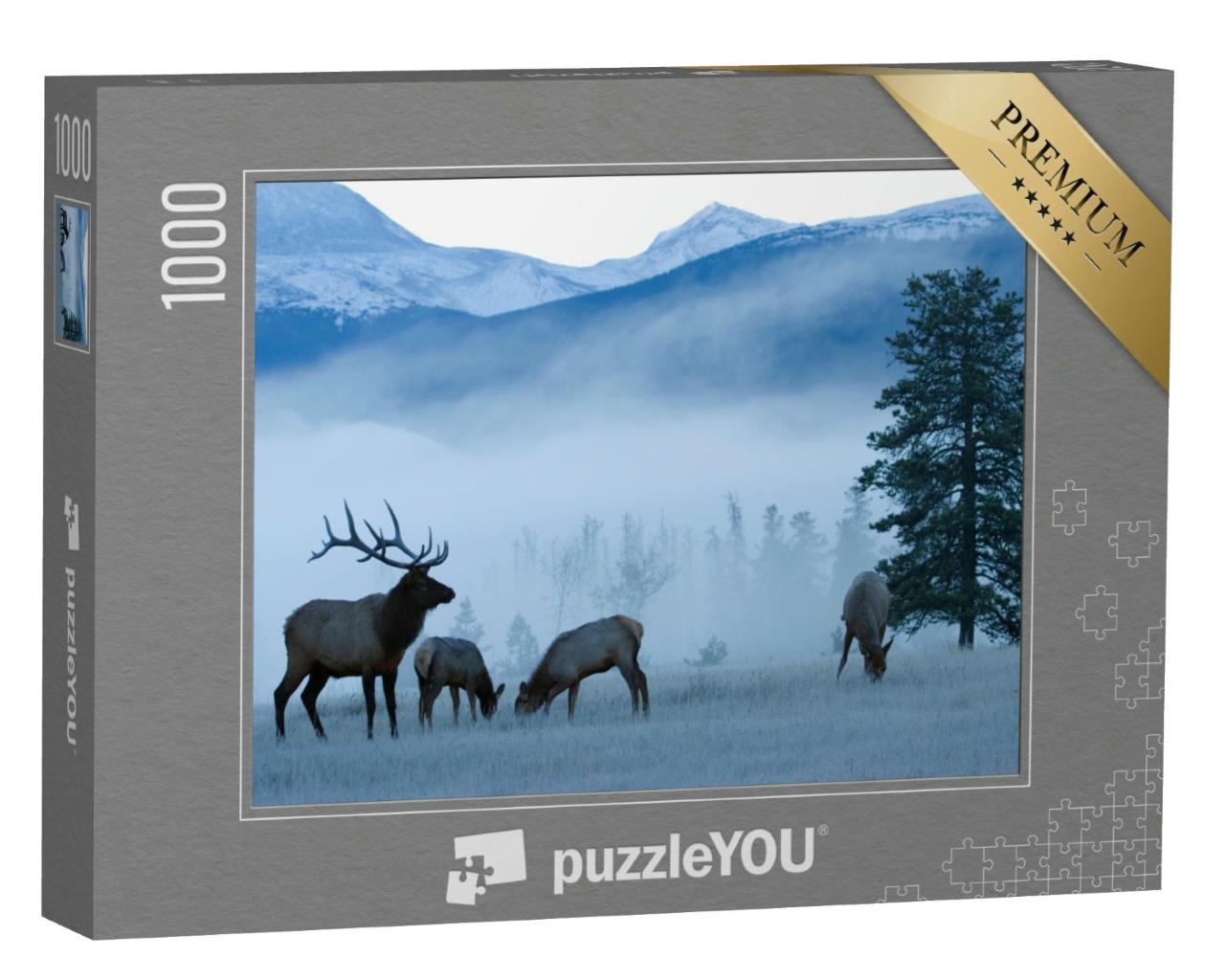 Puzzle 1000 Teile „Frostiger Morgen: Elchbulle und Kühe, Rocky Mountains“