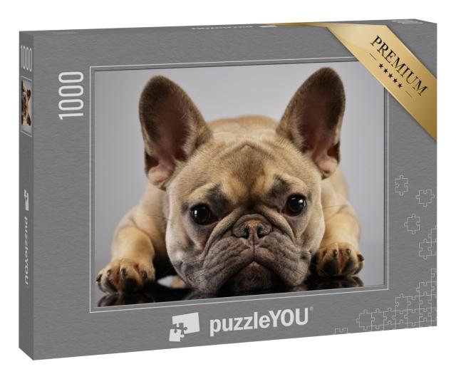Puzzle 1000 Teile „Porträt einer liebenswerten französischen Bulldogge“